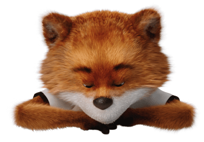 CARFAX Europe — CAR FOX
